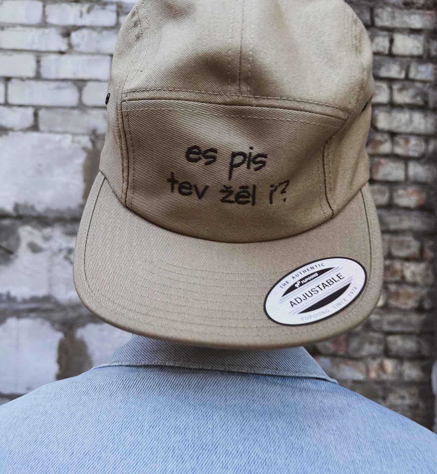 Es pis tev žēl i'? CEPURE (5-PANEL BRŪNA)
